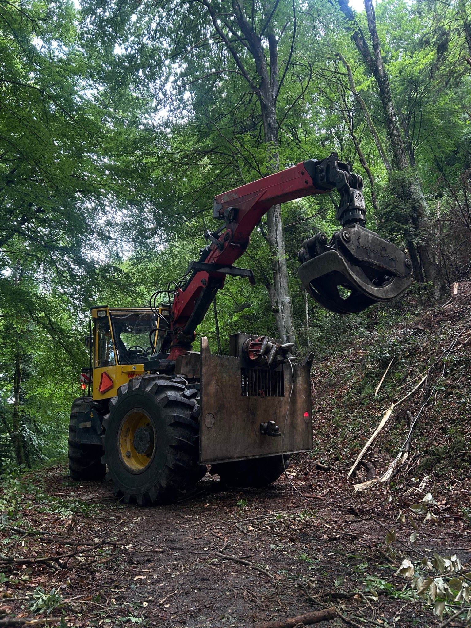 Welte en intervention dans une forêt éclairée par le soleil